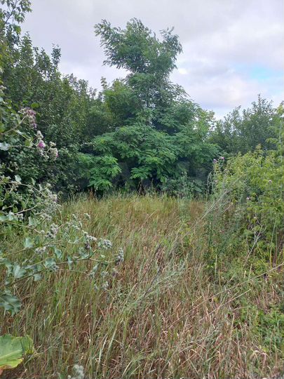 Дом 24 м² на участке 35 сот.