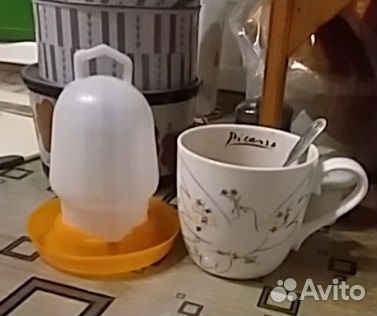 Поилка для перепелов, перепелят, цыплят