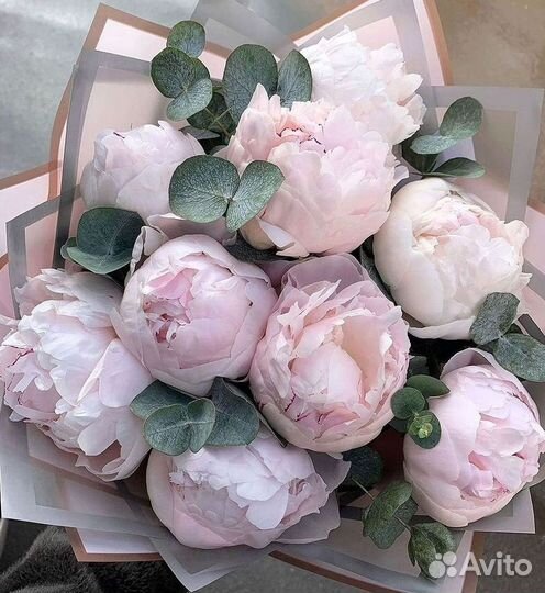 Пионы Цветы Доставка