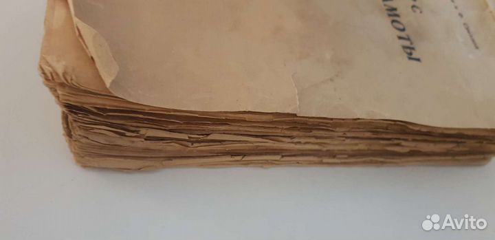 Курс политграмоты