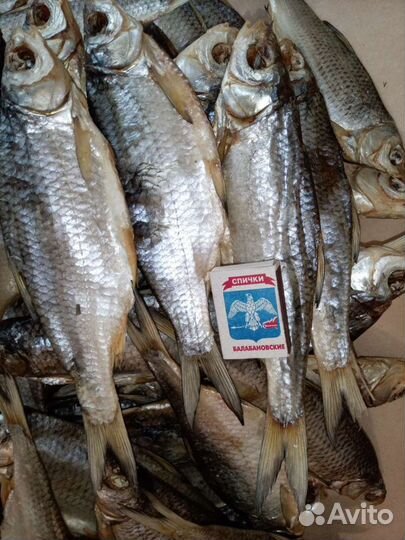 Вобла, Лещ, Чехонь вяленая. Астрахань