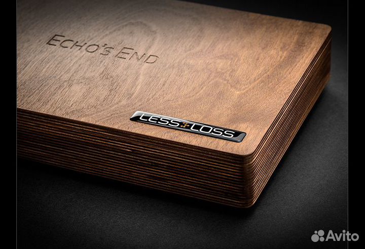 DAC цап самый доступный LessLoss Echo's End