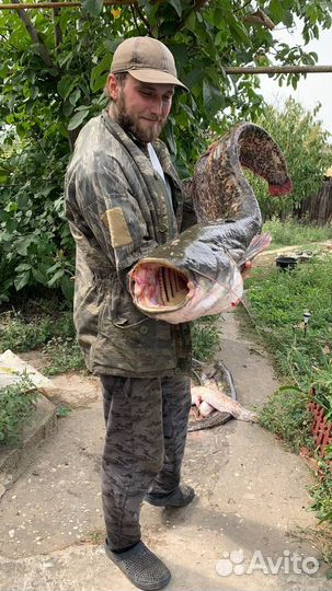 Рыбалка в Астрахани на базе отдыха 