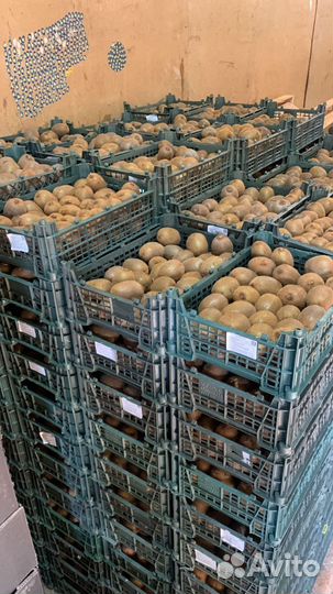 Клубника Азербайджан