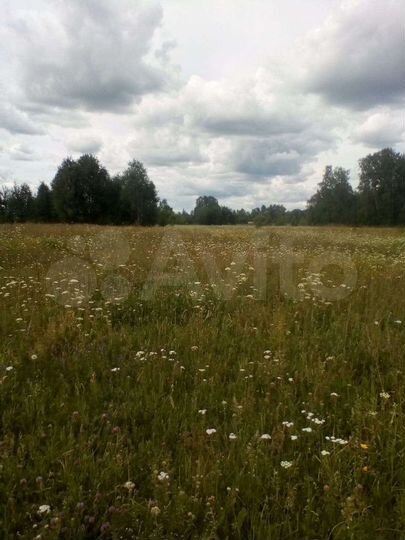 Участок 50 сот. (ИЖС)