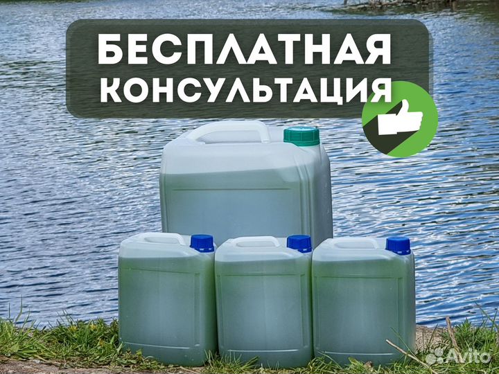 Хлорелла для пруда