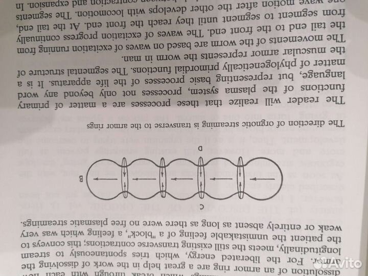 Биоэнергетич пособие на анг яз