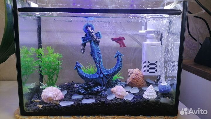 Аквариум