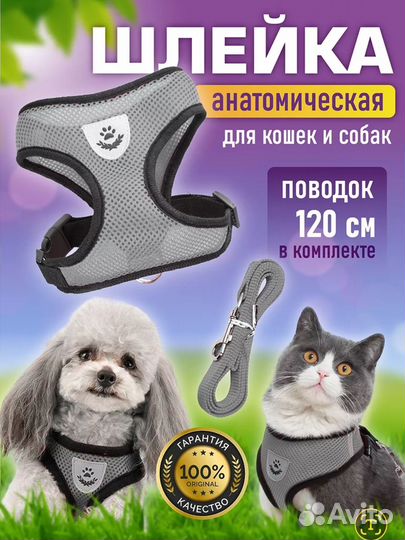 Шлейка для собаки мелких пород