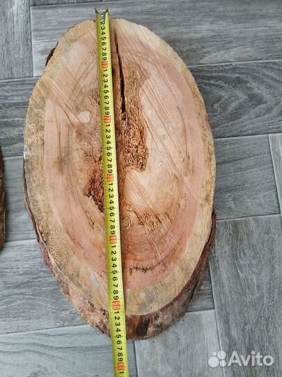 Спилы дерева