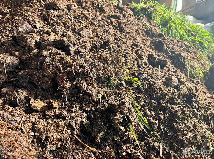 Навоз Перегной в день заказа