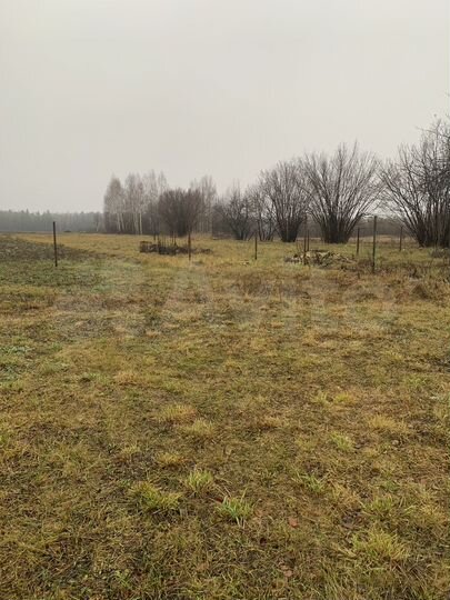 Участок 42 сот. (ИЖС)