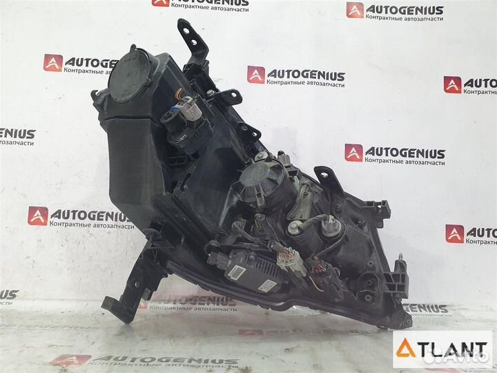 Фара передняя левая nissan fuga