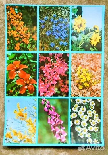 Настольная детская игра СССР Лото Цветы новая