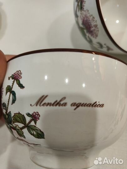 Фарфоровые миски. Botanica Villeroy boch