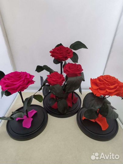 Роза в колбе оптом и в розницу