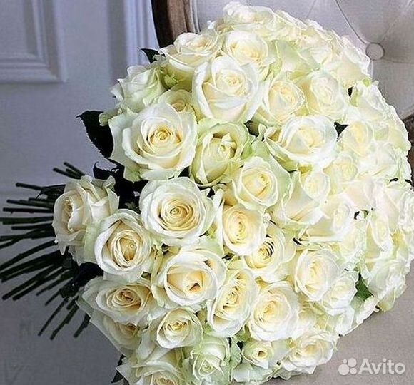 Высокие Розы с Доставкой