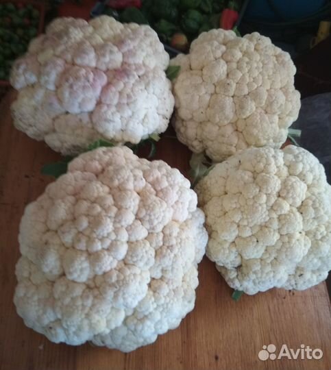Цветная капуста