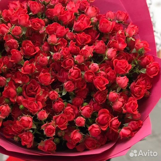 Букет из 25 красных кустовых роз