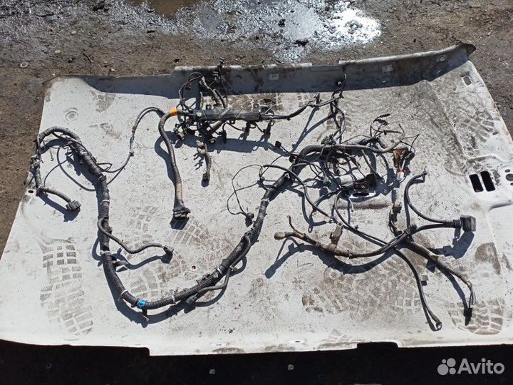 Проводка двигателя Ssang Yong Kyron D20DT 2010