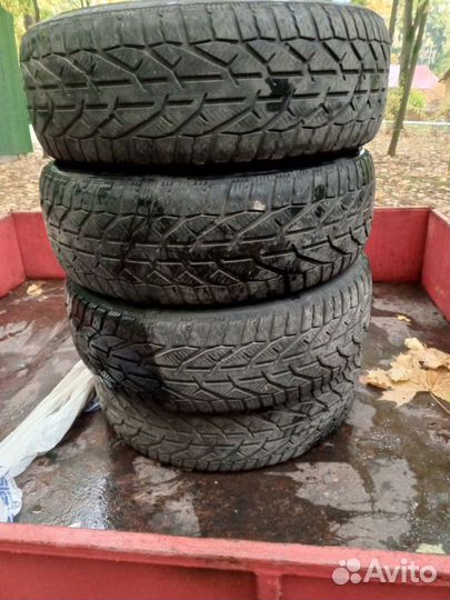 Tigar Winter 215/60 R16