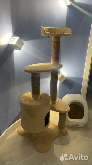 Дом для кошки