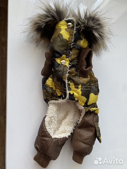 Одежда для собак