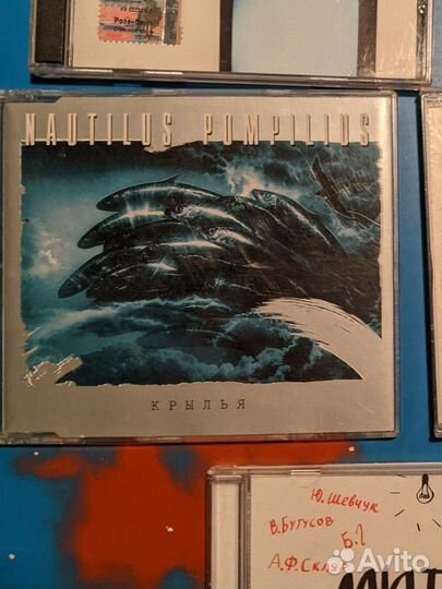 Науты для Макса