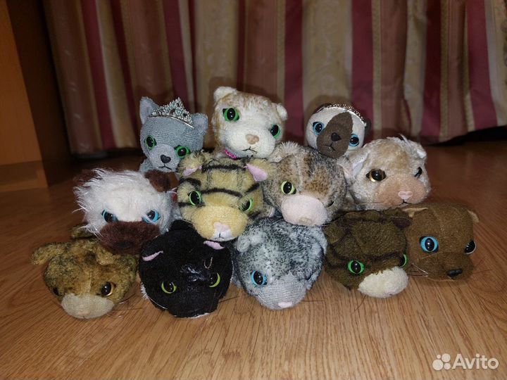 Коты the cat collection