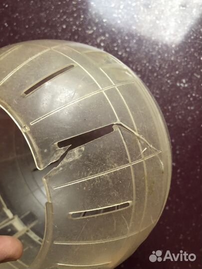 Шарик для хомяка