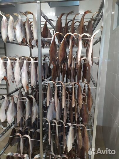 Камбала ерш вяленый от производителя