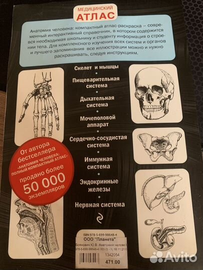 Раскраска анатомия человека