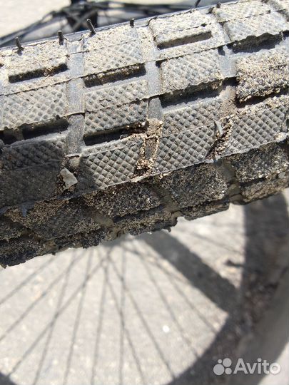 BMX grasshopper tech team