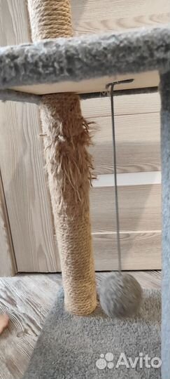 Когтеточка