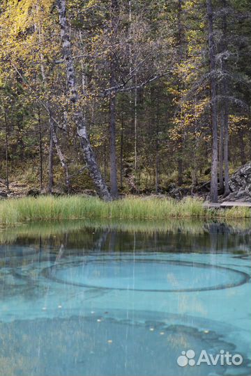 Гезерноре озеро-Алтай который ты еще не видел