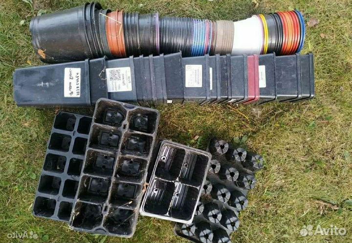 Для рассады горшки и формы