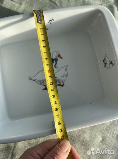 Прямоугольная форма Чешский гусь