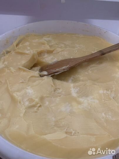 Мед подсолнечник 2023