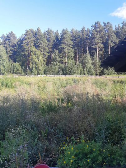 4-к. квартира, 56,5 м², 1/1 эт.