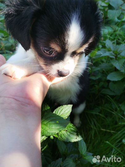 Мальчик красавчик