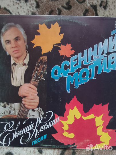 Виниловые пластинки