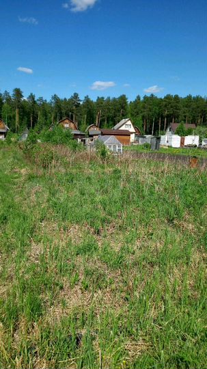 Участок 6,2 сот. (СНТ, ДНП)