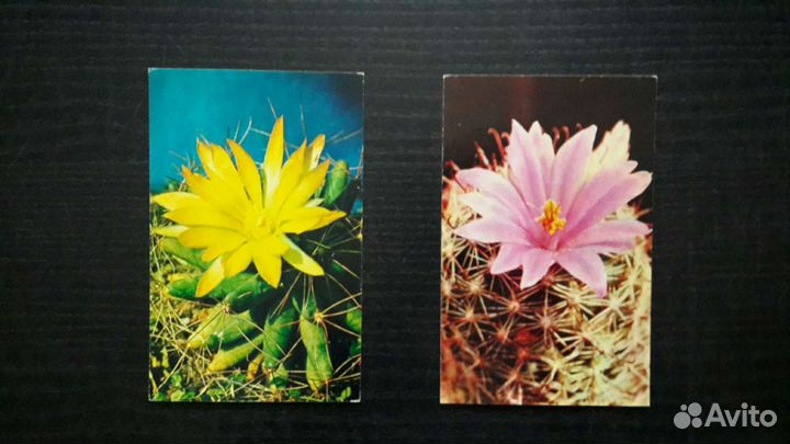 Комплект открыток 