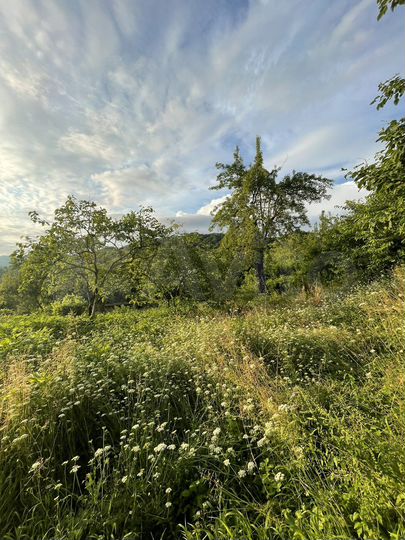 Участок 15 га (ИЖС)