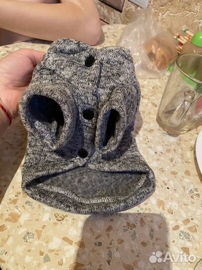 Кофточка доя маленькой сабачки