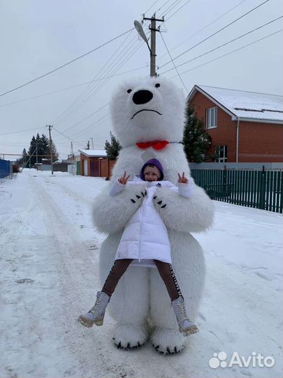 Медведь поздравление