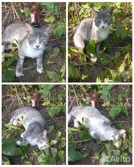 Настоящий пацан