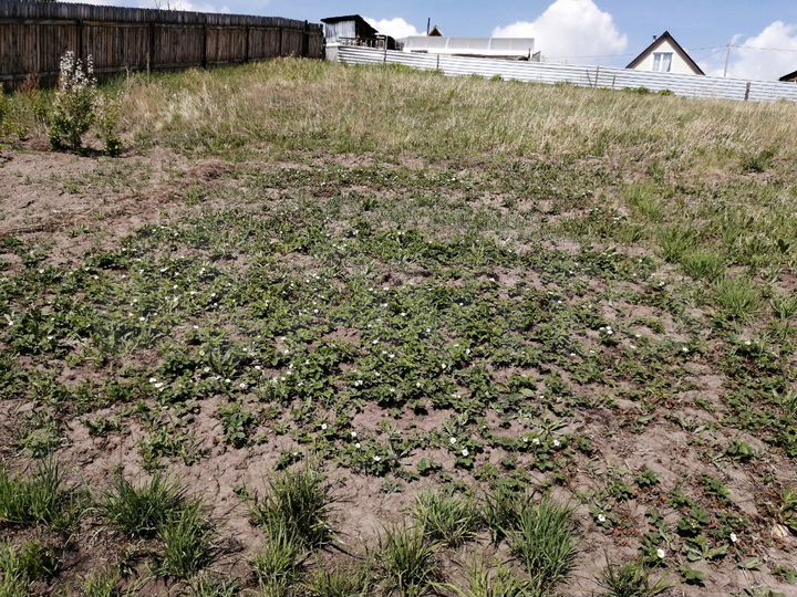 Участок 9 сот. (СНТ, ДНП)