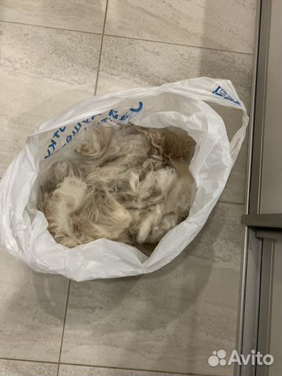 Собачья шерсть