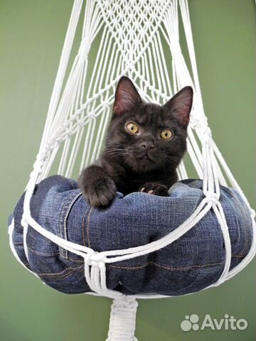 Гамак - лежанка для кошки